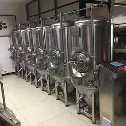 供应小型啤酒厂鲜啤酿造设备1000升自酿啤酒设备厂家批发价格