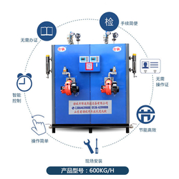 燃气蒸汽发生器*-新疆燃气蒸汽发生器-台锅锅炉