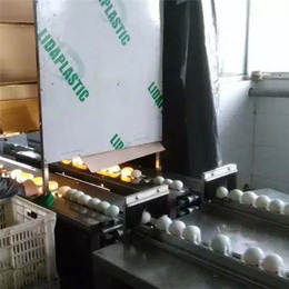 小型洗蛋机生产商-山东广盈机械有限公司