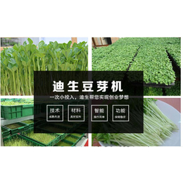 开封芽苗菜栽培机-迪生自动化设备公司
