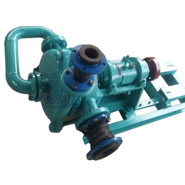 浮选压滤机泵125ZJW压滤机泵厂家-源润水泵(****商家)