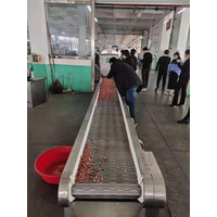 内蒙古顾客千里迢迢来厂试机六米生产流水线用于炒制花生酱