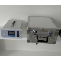 北京天和力特-便携式气体分析仪生产厂家-北京便携式气体分析仪