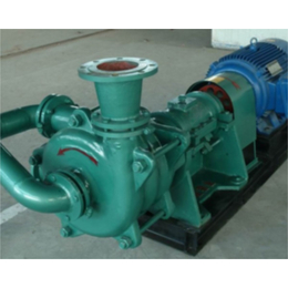 新楮泉水泵厂-ZJW200-315A压滤机入料泵