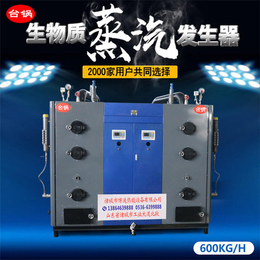 台锅锅炉(多图)-生物质蒸汽发生器报价-浙江生物质蒸汽发生器