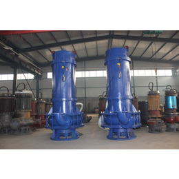 庆阳潜水渣浆泵生产厂-新楮泉泵业