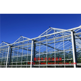 加工设计安装 智能玻璃温室 连栋温室蔬菜玻璃温室大棚缩略图