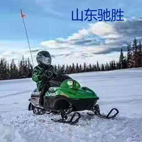 素雪晓凝华 多功能雪地摩托车 履带式汽油滑雪车山东驰胜