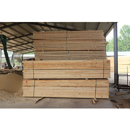 辐射松建筑木材尺寸-鼎泰丰木业(在线咨询)-辐射松建筑木材