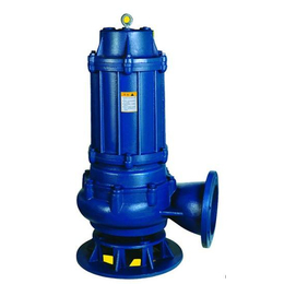 潜污泵出售价-金石泵业(在线咨询)-潜污泵