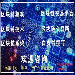 Vpay模式开发系统搭建案例