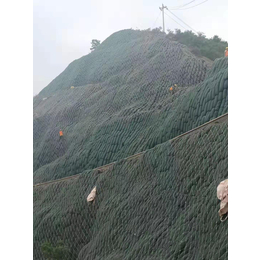 安徽矿山岩石边坡绿化工程土壤粘合剂