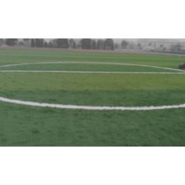 武汉赛龙体育设施(图)-人造草坪足球场-贵州人造草坪