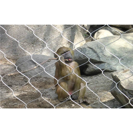骐骏围栏(图)-动物围网生产厂家-丽水动物围网