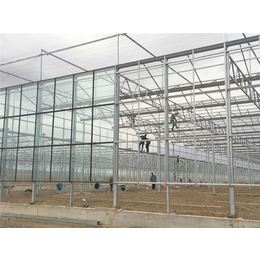 青州瀚洋农业(图)-自动化玻璃大棚-玻璃大棚