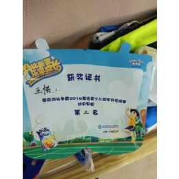 *体育(图)-羽毛球培训青少年-苏州吴江羽毛球培训
