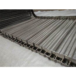 威海输送带-金属材质链板输送带-不锈钢材质输送带厂