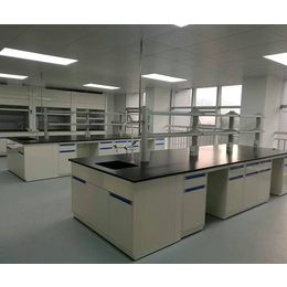 全钢实验台单柜-实验台-重庆绿迪实验家具厂家