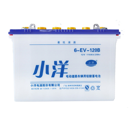 江西电池厂家*6-EV-120B型 电动电瓶