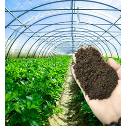 沃农有机肥厂家*-生物塑料大棚菌肥价格-塑料大棚菌肥价格