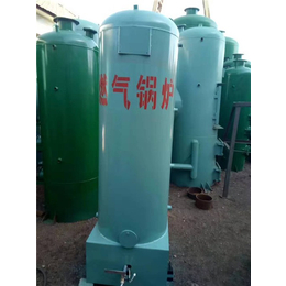 蓝山锅炉(图)-环保燃气锅炉订购价-环保燃气锅炉