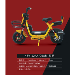 江苏邦能电动车(图)-电动自行车上牌-重庆电动自行车