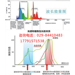 草莓生长灯-宜宾生长灯-诺达科技