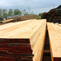 周口辐射松方木-友联木材加工厂-辐射松方木多少钱一方