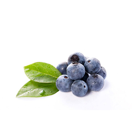 柏源农业科技(图)-六年生蓝莓苗-丽水蓝莓苗