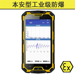 本安振动测量仪多少钱-青岛东方嘉仪(在线咨询)-振动测量仪