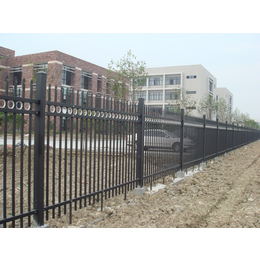 新郑学校围墙锌钢护栏 铁艺围墙护栏 加工塑钢方管铁栏杆护栏