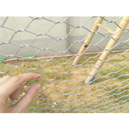 不锈钢绳网现货批发-骐骏围栏(在线咨询)-白城不锈钢绳网