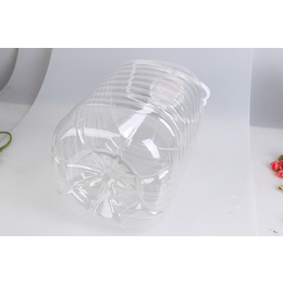 10l透明塑料桶-丽江塑料桶-庆春塑料桶厂家批发(查看)