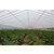 温室蔬菜大棚生产厂家-头屯河温室蔬菜大棚-亿农农业(查看)缩略图1