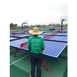 井冈山市乒乓球台-特冠体育设施公司-乒乓球台价格