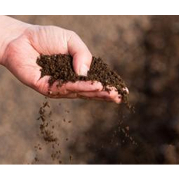 土壤检测价格-土壤检测-中环物研环境