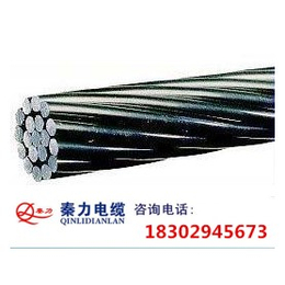 钢芯铝绞线厂家-陕西电缆厂-安康钢芯铝绞线
