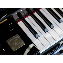 长沙蓝音钢琴(图)-团购价格更优惠-张家界钢琴调律