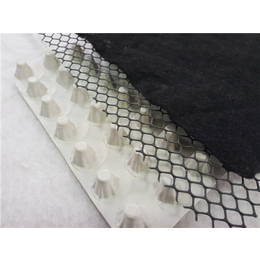 唐能(图)-生产排水板的厂子-生产排水板