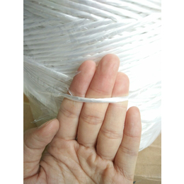 红色塑料绳厂家-四川塑料绳厂家-瑞祥包装麻绳生产厂家(图)