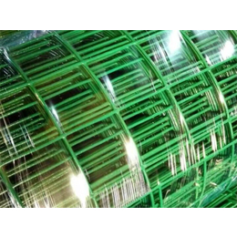 散养鸡养殖铁丝网-湘西养殖铁丝网-超兴金属丝网