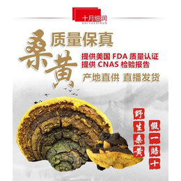 桑黄精粉怎么吃-十月细润-桑黄精粉