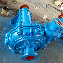 渣浆泵型号大全250ZJ-85渣浆泵-源润水泵(在线咨询)
