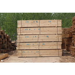 建筑木方分类-建筑木方-日照创亿木材厂家(图)