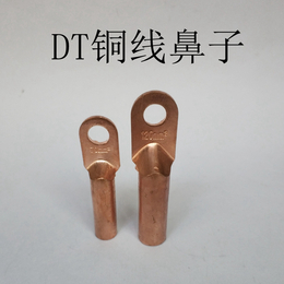 DT500平方电缆铜鼻子 线鼻子铜接线端子 闭口铜鼻子