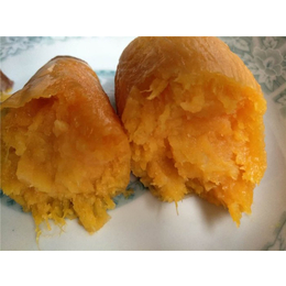 红薯-禾田薯业质量可靠-红薯哪家的甜