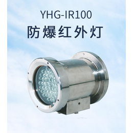 YHG-IR100*红外灯 光流量大使用寿命长缩略图