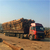 中林木材加工厂-辐射松方木-辐射松方木价格缩略图1