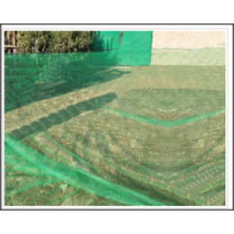 绿色盖土网- 杏花渔网-绿色盖土网批发