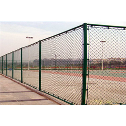 包塑丝球场围网-宏鸿丝网-包塑丝球场围网生产